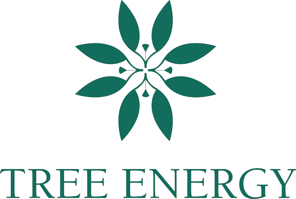 Tree Energy — Carreira, Liderança e Desenvolvimento